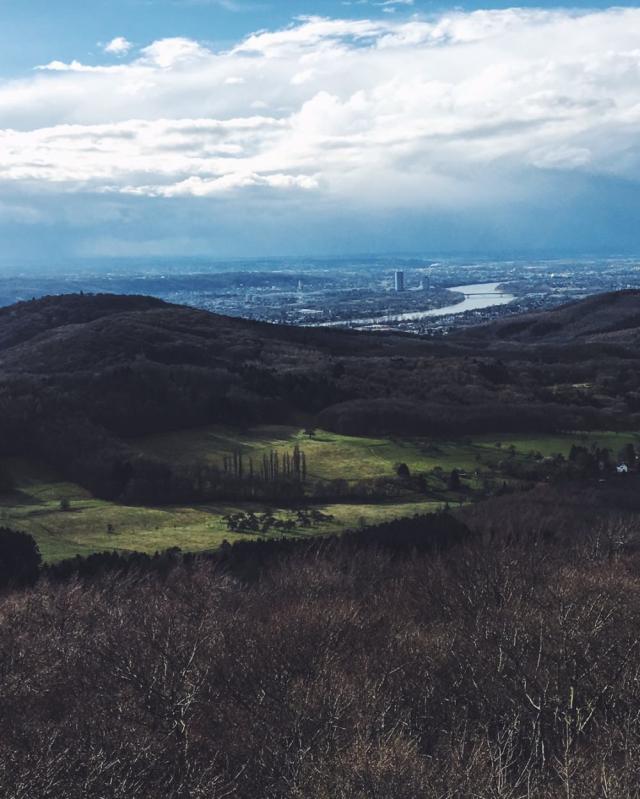 View of the Rhine Valley Bonn: Links & Memories