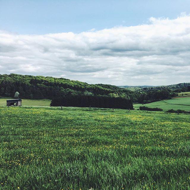 Hiking at Eifel National Park | Hanna's Places