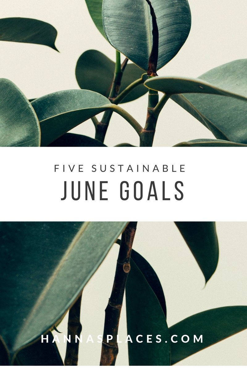 5 sustainable june goals