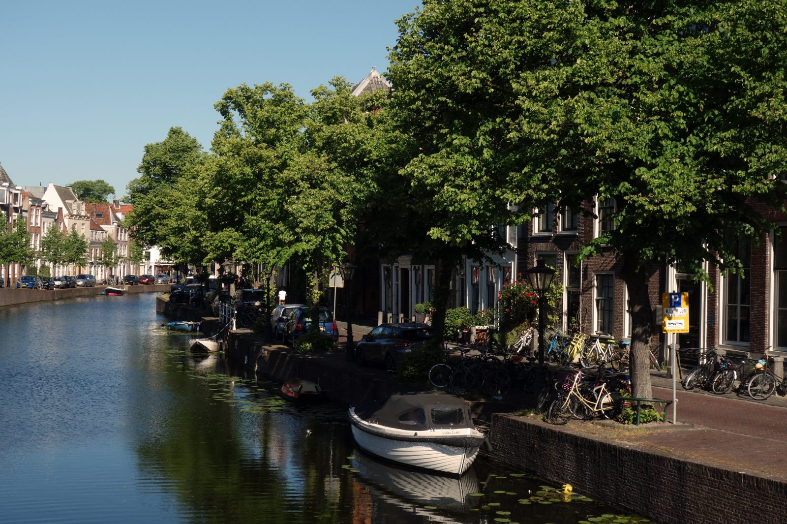 How to spend a slow, sustainable weekend in Leiden