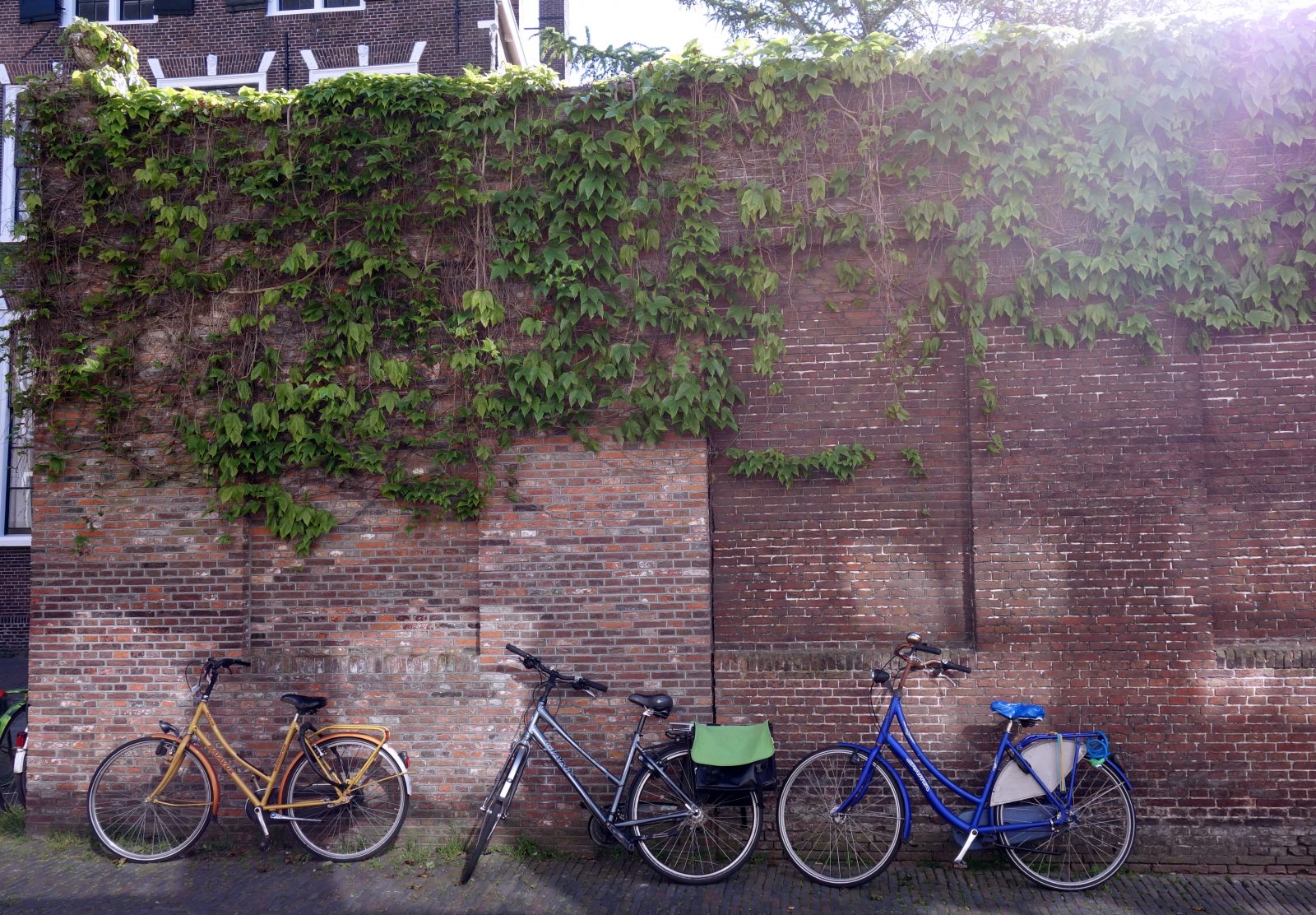 How to spend a slow, sustainable weekend in Leiden