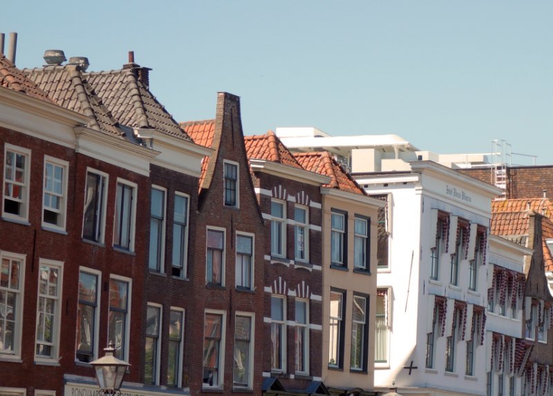 How to spend a slow, sustainable weekend in Leiden