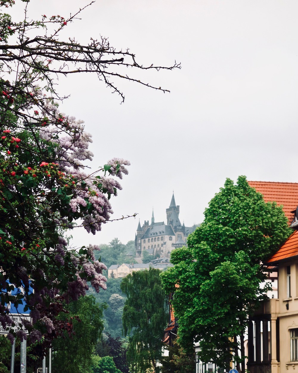 Schloss Werningerode thront über der Stadt