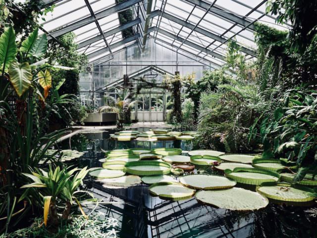 Der Botanische Garte in Bonn