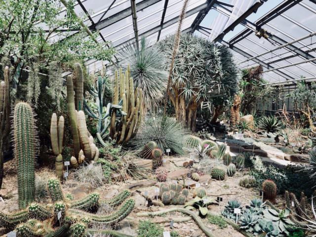 Der Botanische Garte in Bonn