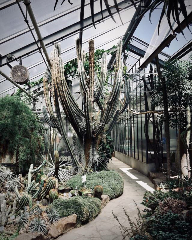 Der Botanische Garte in Bonn