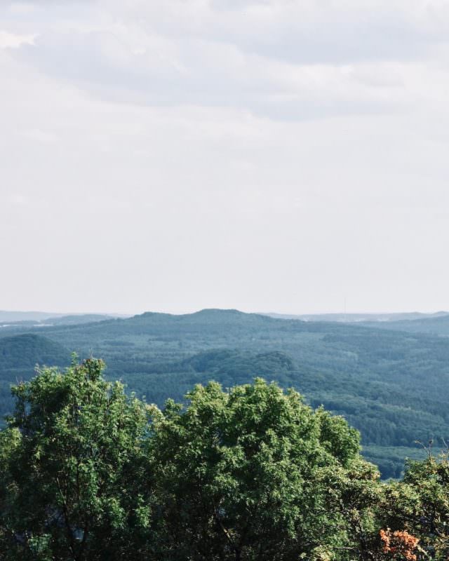 Bonn: Wandern auf dem Rheinsteig