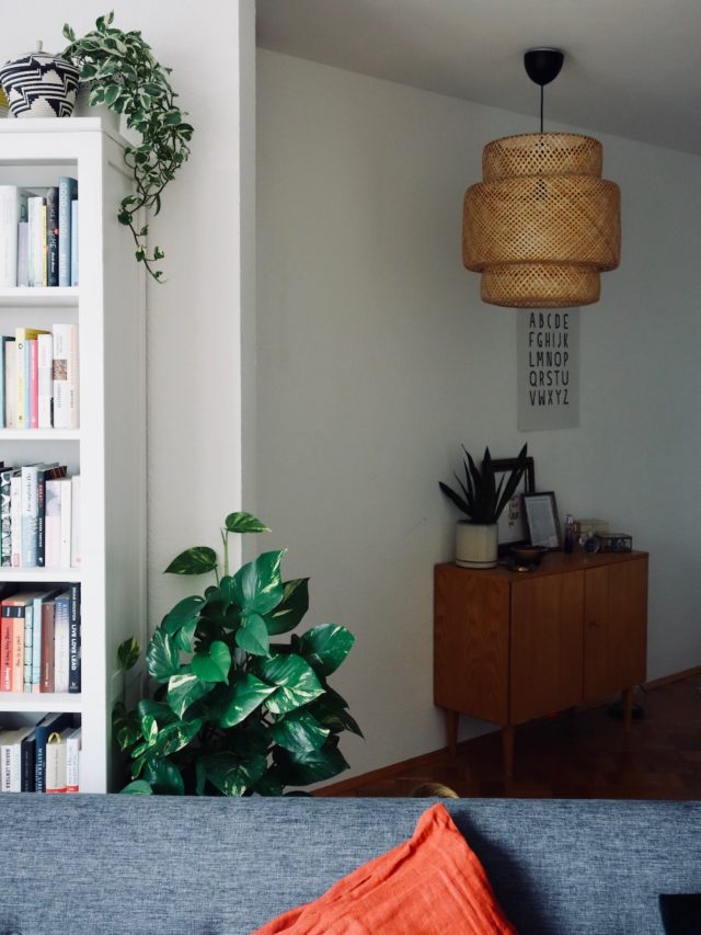 A home full of plants: Letting nature inside
