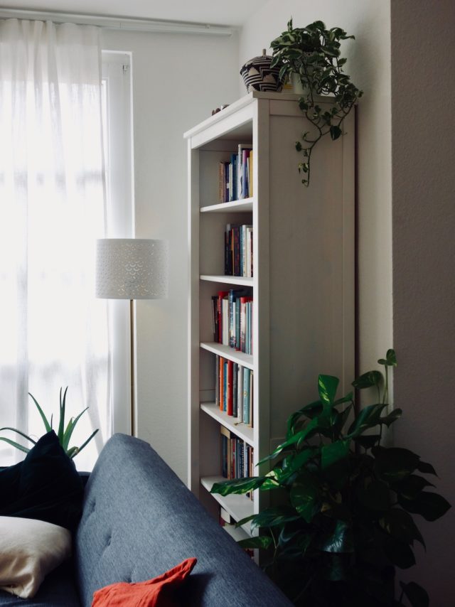 Letting nature inside: A room full of plants